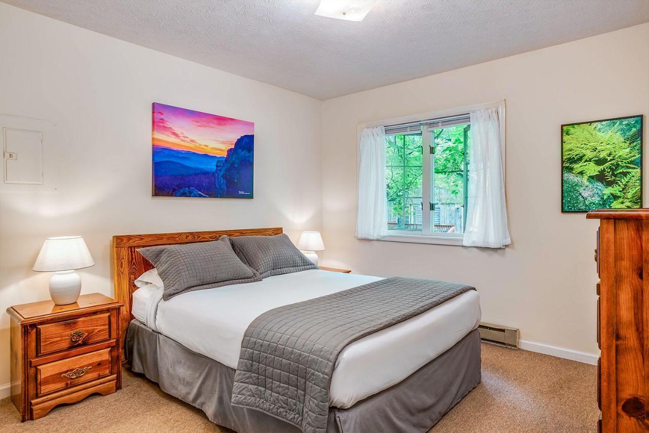 Love Ridge Mountain Lodging Lyndhurst Esterno foto