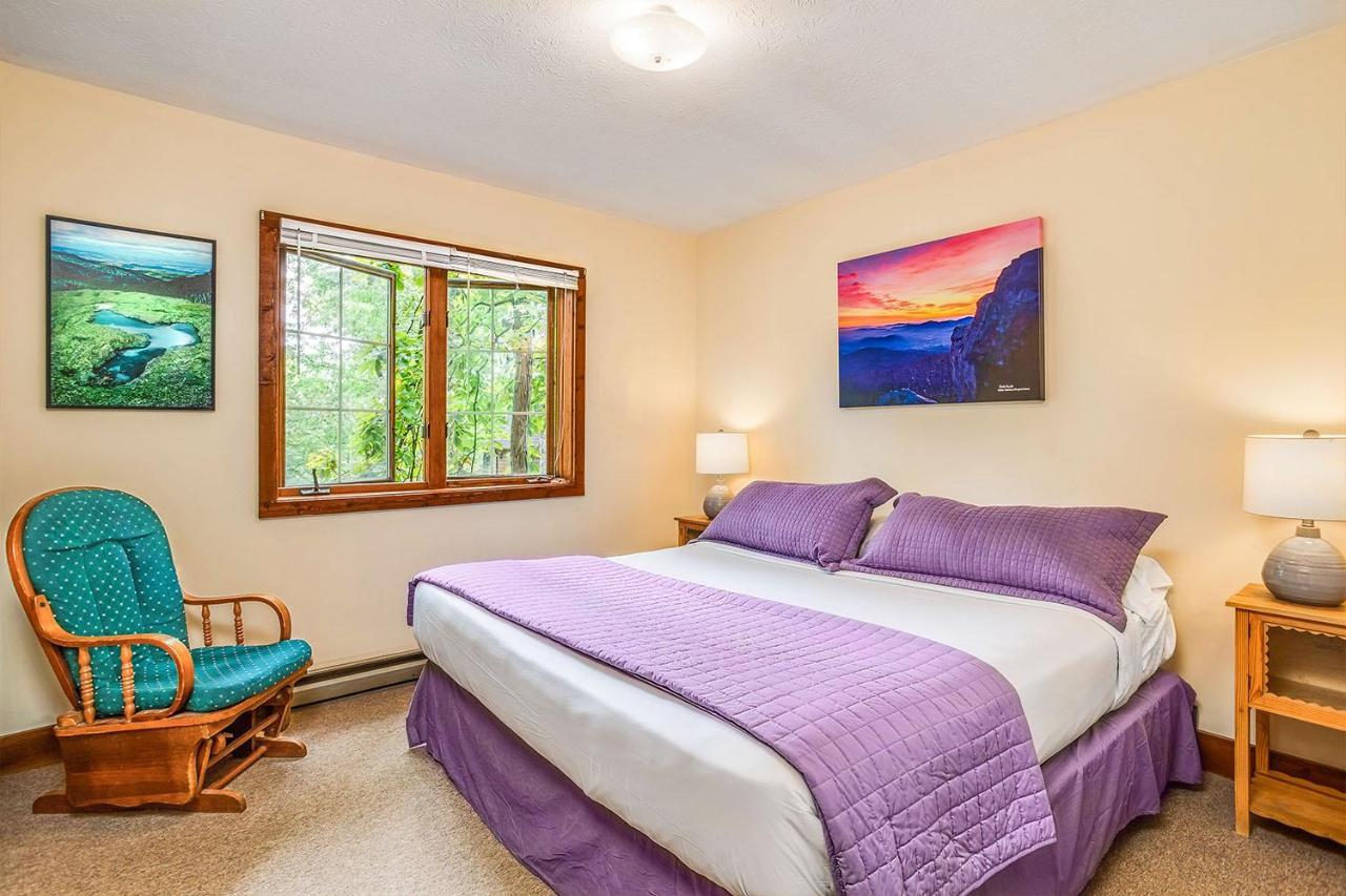 Love Ridge Mountain Lodging Lyndhurst Esterno foto