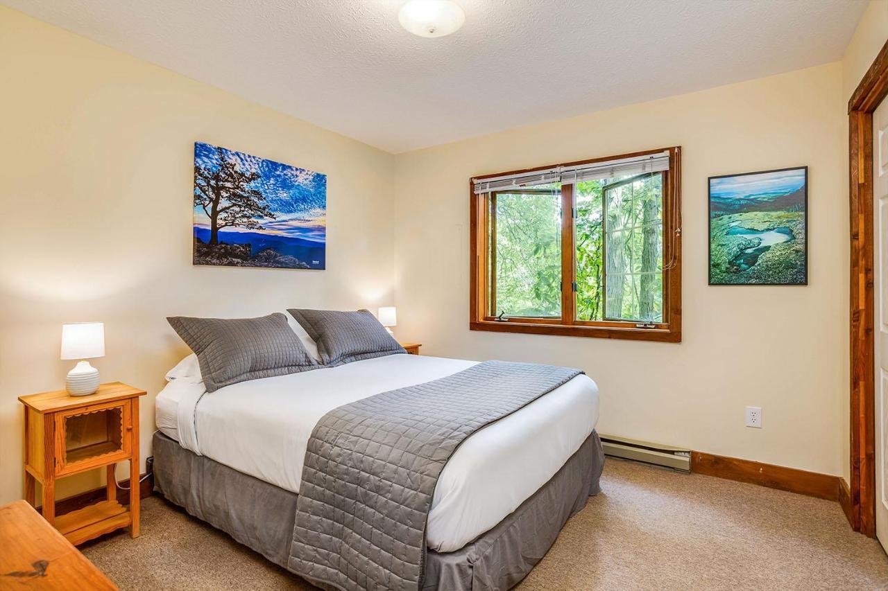 Love Ridge Mountain Lodging Lyndhurst Esterno foto
